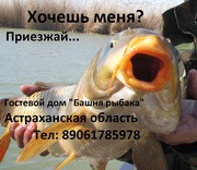 Эконом рыбалка и туры выходного дня в Астрахани